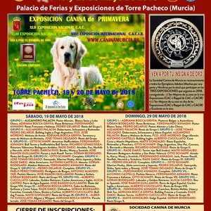 Xlii और xliii राष्ट्रीय प्रदर्शनी सीएसीसी और मर्सिया के xxvi अंतरराष्ट्रीय प्रदर्शनी canina…
